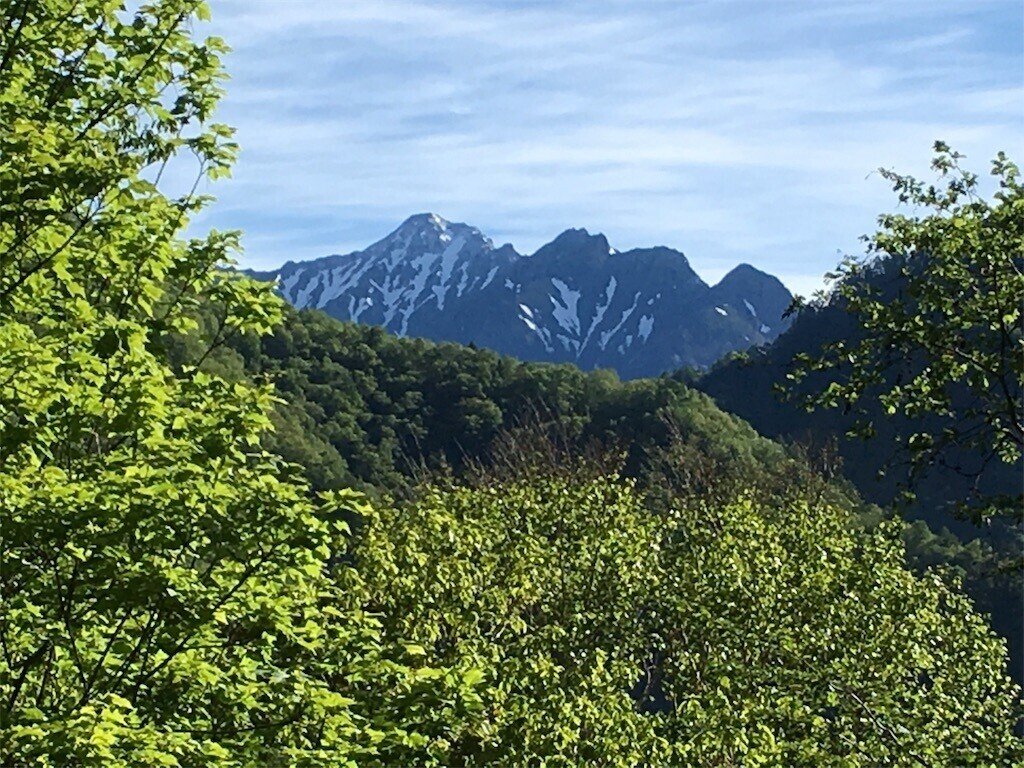画像19