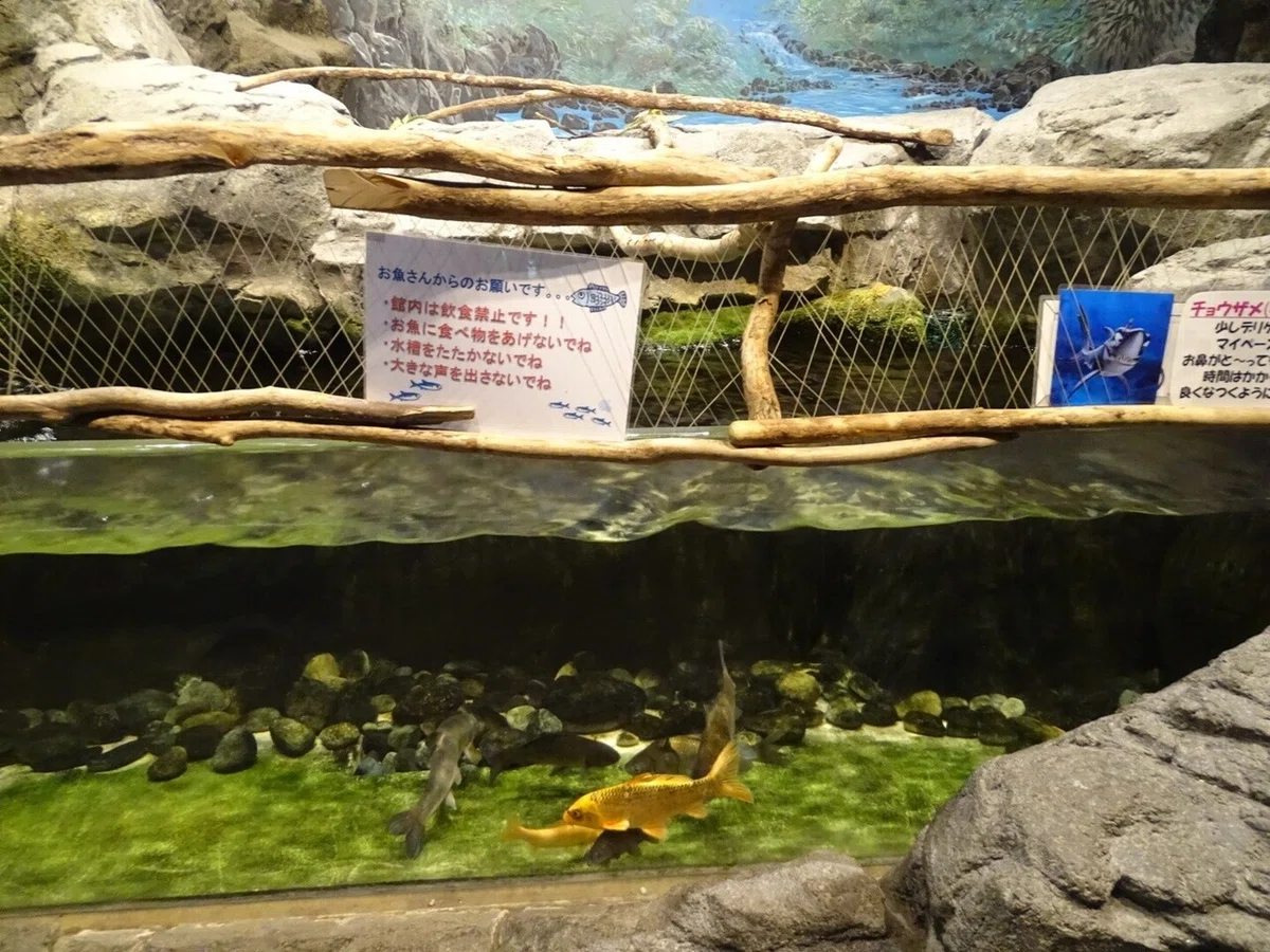 画像10