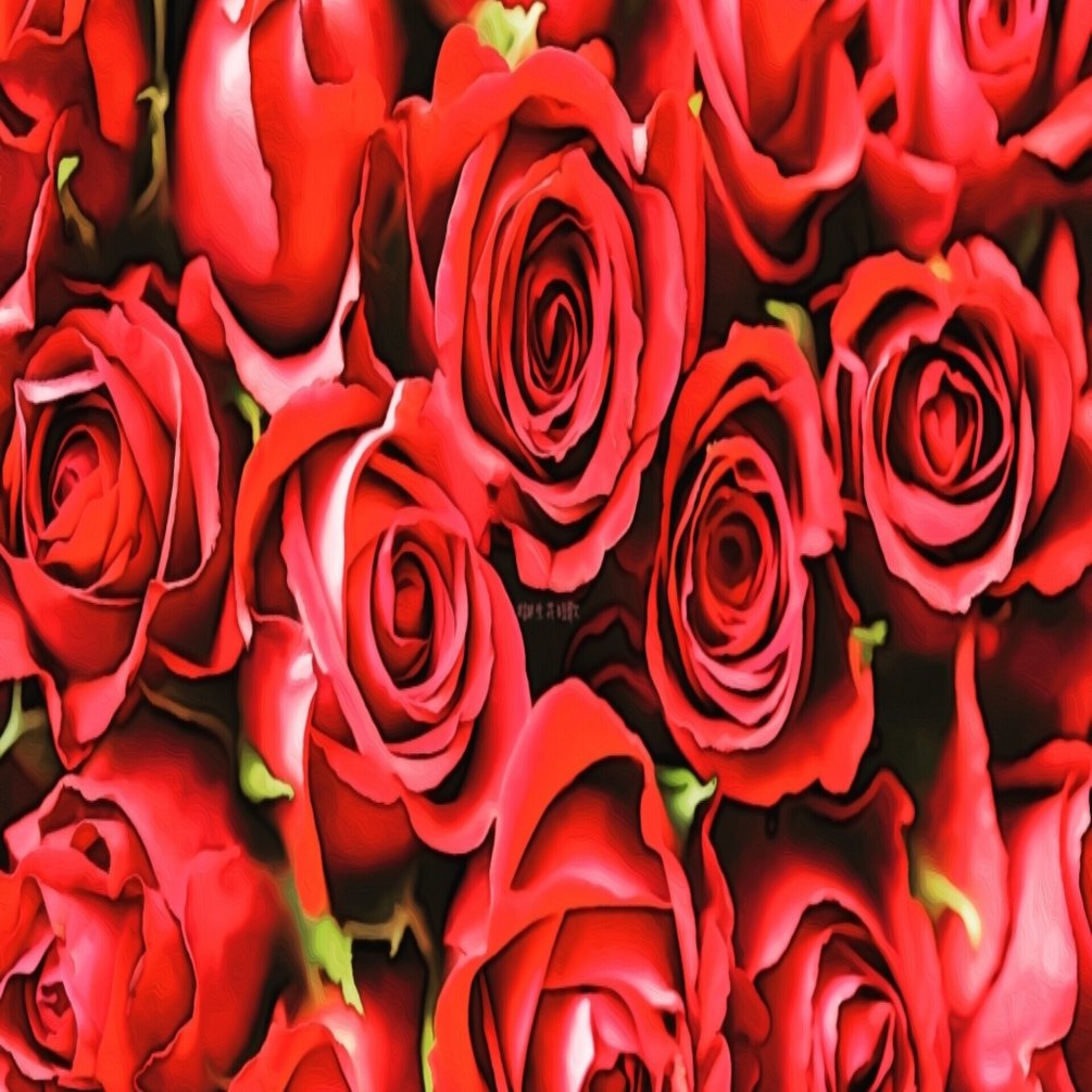 12月25日 誕生花は薔薇 誕生花短歌 御子柴 流歌 Note