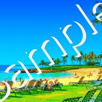 Pc スマホ用壁紙 紅茶とイラクサ 作品no 129 Gallery Misutawo Note