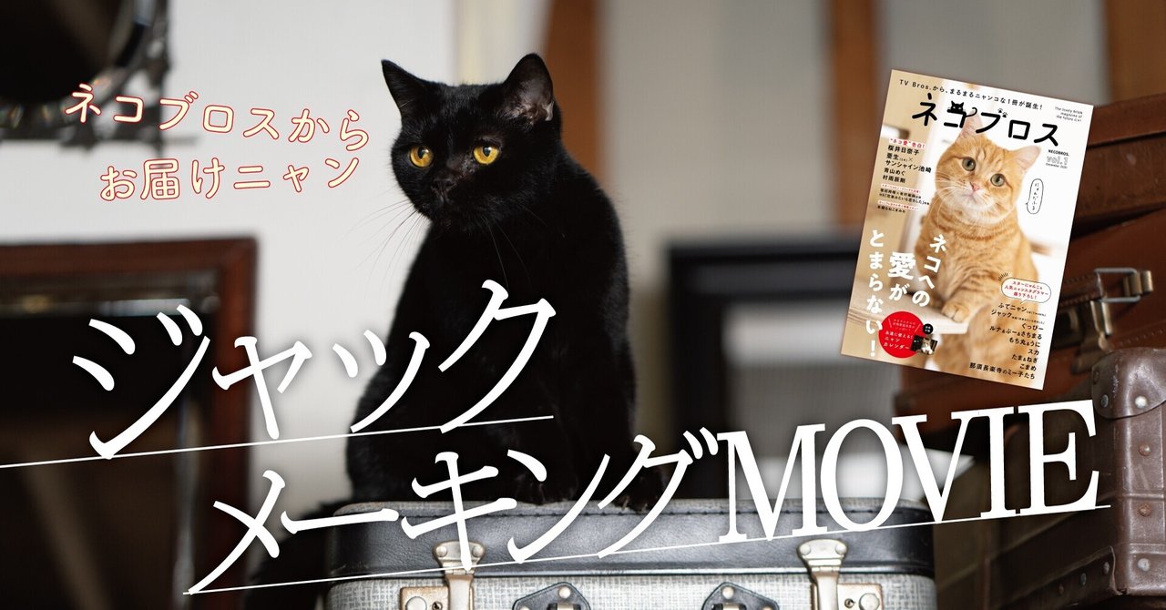 ネコブロス 未公開sp 名優 黒猫ジャックに密着 前編だにゃー Tv Bros テレビブロス Note