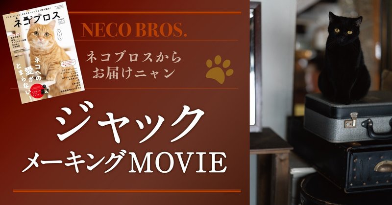 ネコブロス Sp 黒猫の星 ジャックに密着 後編だにゃー Tv Bros テレビブロス Note ネコブロス Sp 黒猫の星 ジャックに密着 後編だにゃー Tv Bros テレビブロス Note