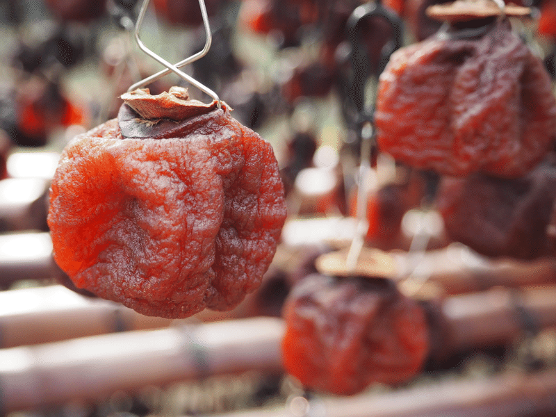 昔ながらのいぶす干し柿作りをゼロから体験した大学生の素直な感想 ヨコイココ Note