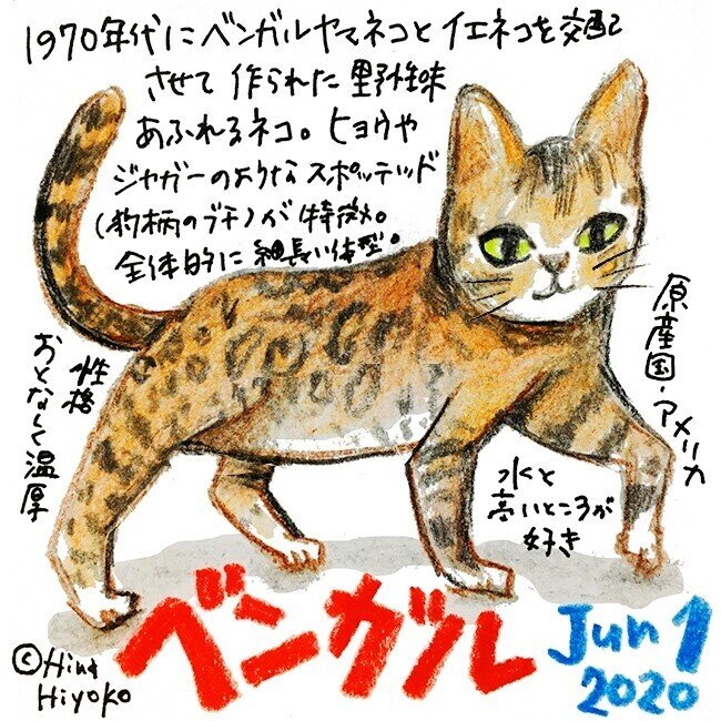 ねこやまねこ様 リクエスト 2点 まとめ商品 やまねこ様