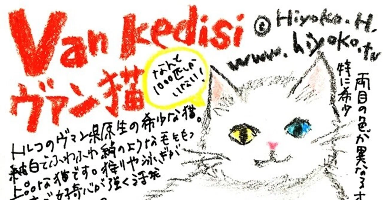 野性味と気品が同居するネコさま 陽菜ひよ子 イラストレーター インタビューライター Note