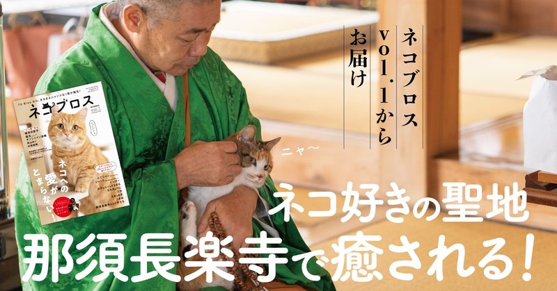 ネコ全部乗せの那須長楽寺でネコまみれ ネコブロス 撮影裏話 Tv Bros テレビブロス Note