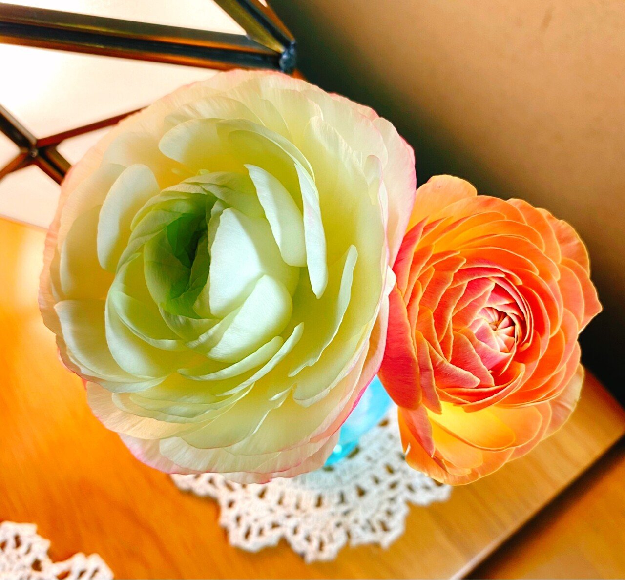 花屋さんに 大きな大きな 蝋梅の枝が 売っていて 妹が購い求めたら もう リビングで 小さくってころころ円い 蕾が ほろほろ綻び始めていました 僕は ラナンキュラスと云う花が こころから好きで 大掃除で 犬塚我区 Note