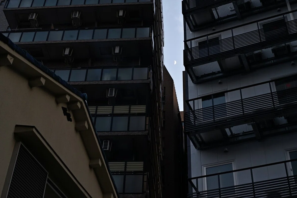 画像8
