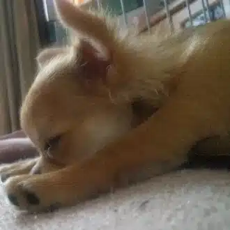 みっち➰