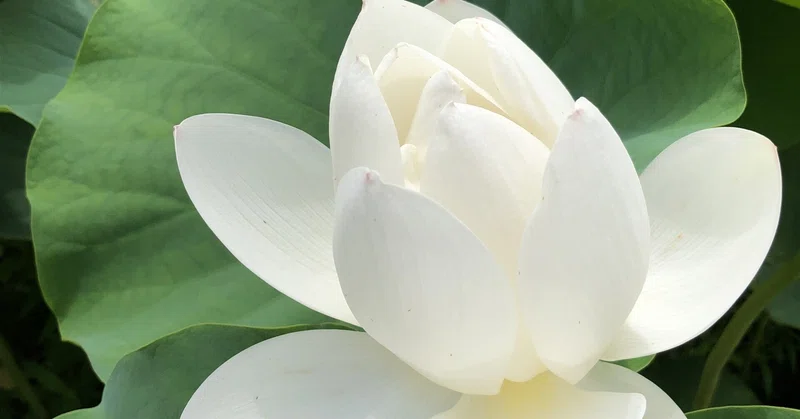 私ができること 鈴木 千恵美 Note
