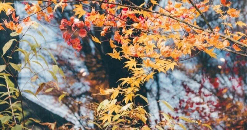 秋らしい季節の朝に英語の時制について考える【英文法】