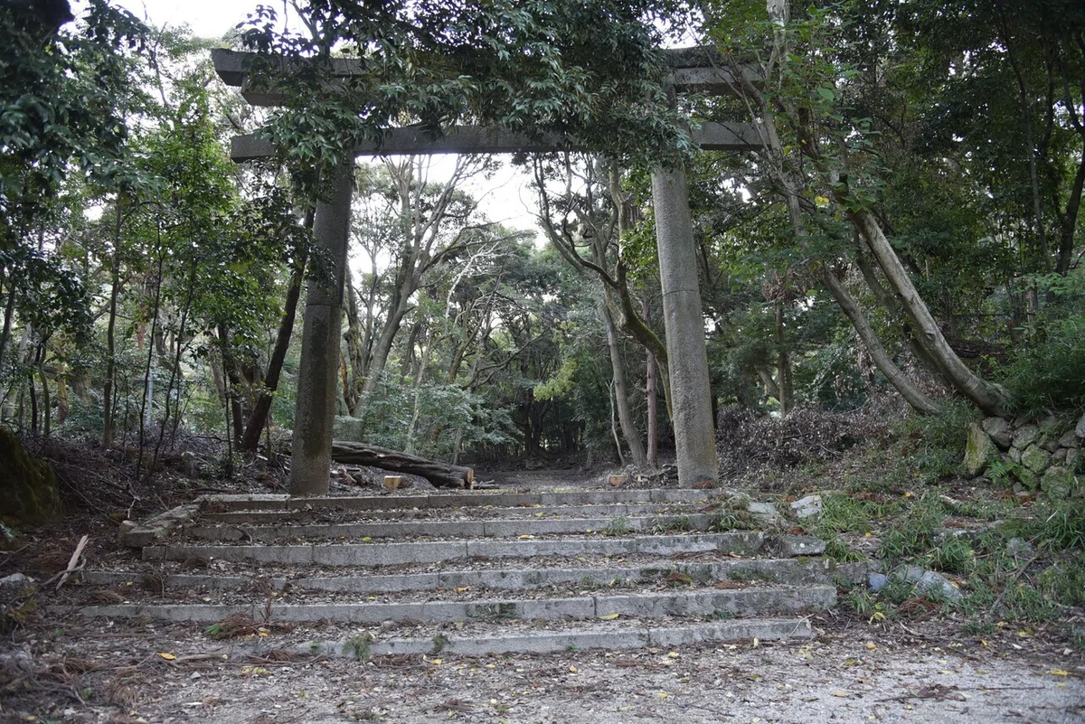 画像3