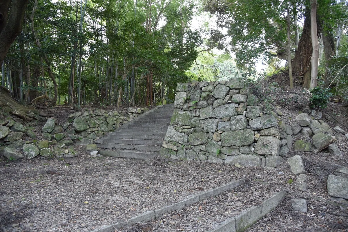 画像4