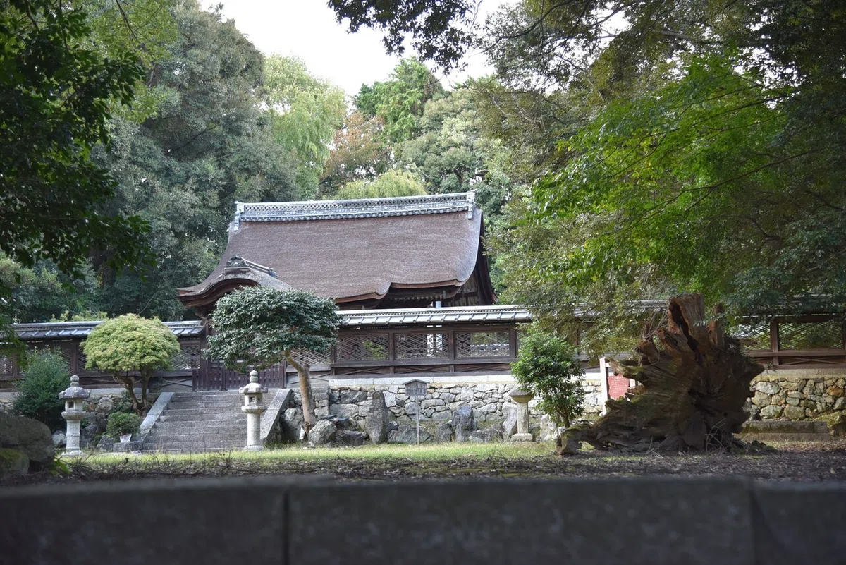 画像5