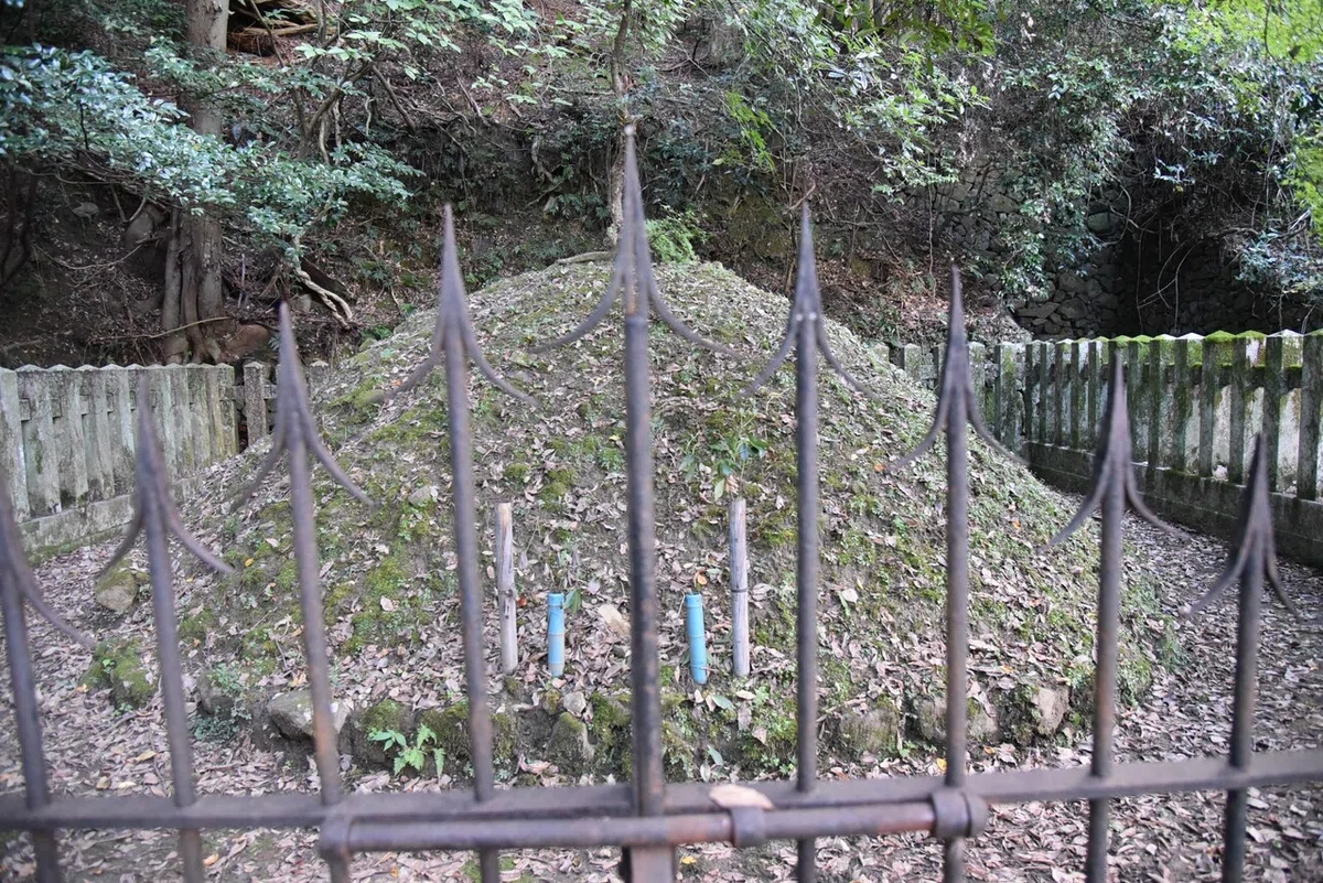 画像8