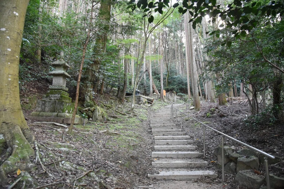 画像2