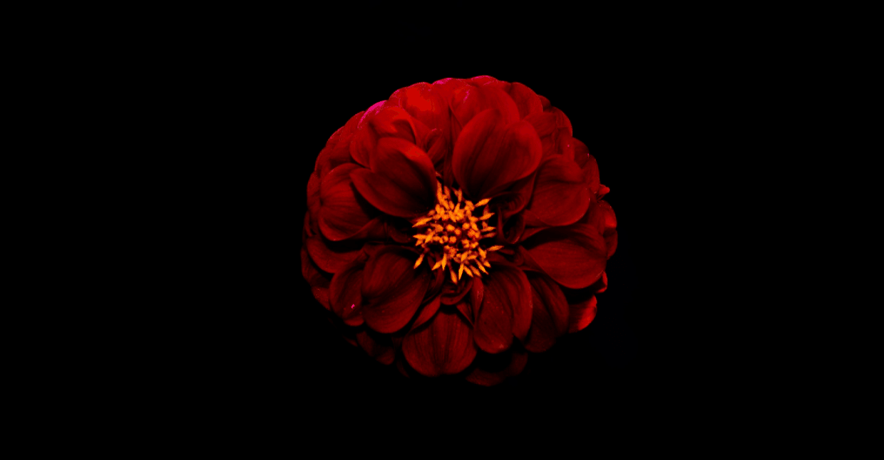 童話 偽伝桃太郎 朗読用フリー台本 なるら シナリオライター Note