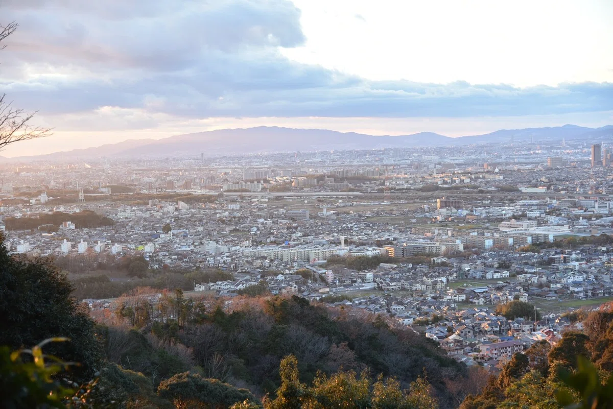画像1