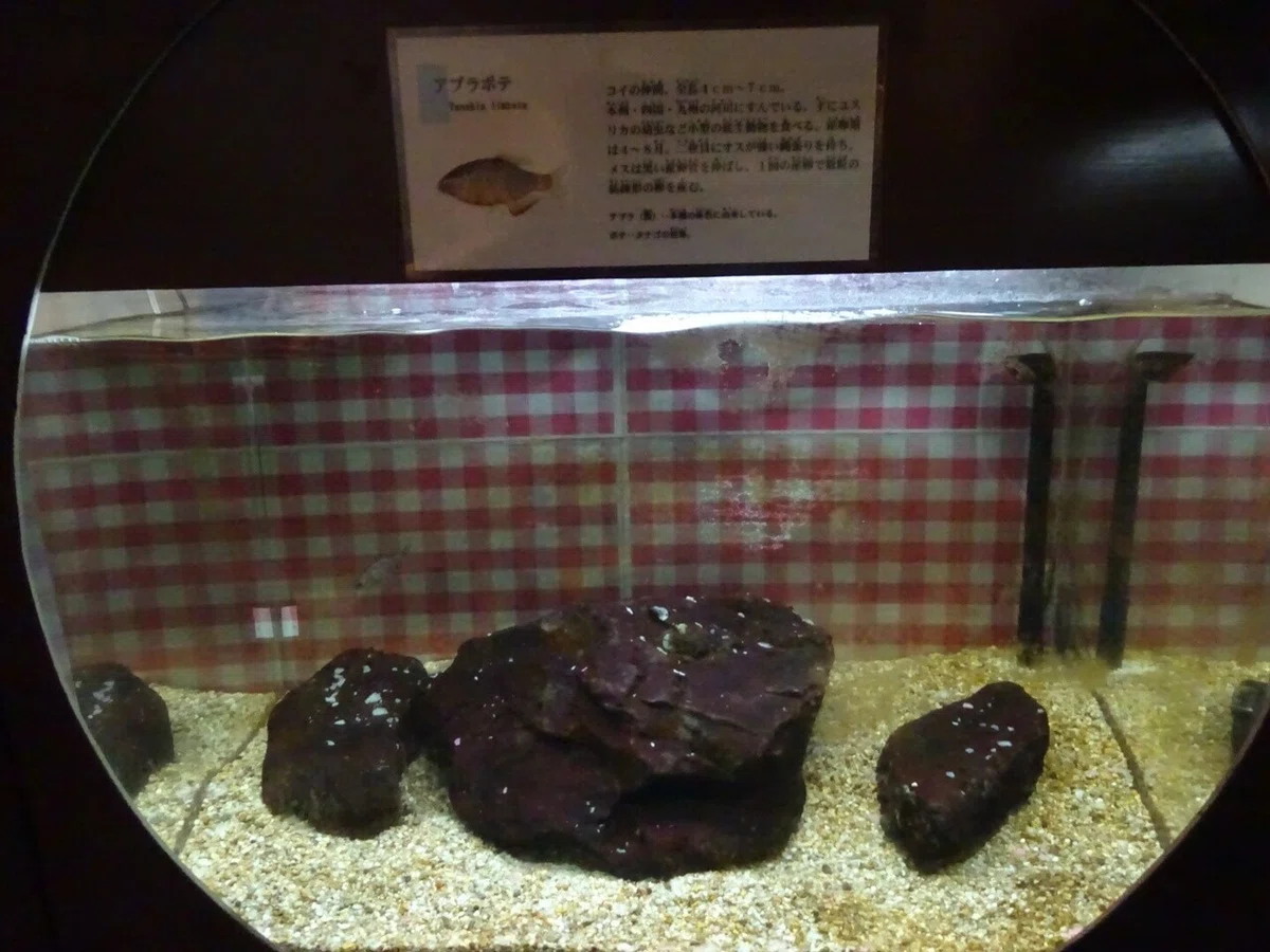 画像20
