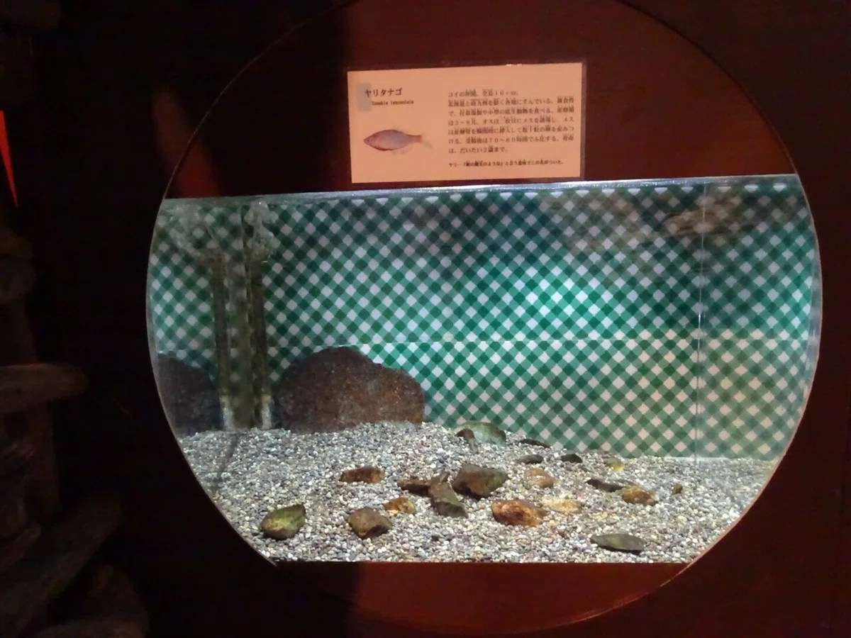画像21