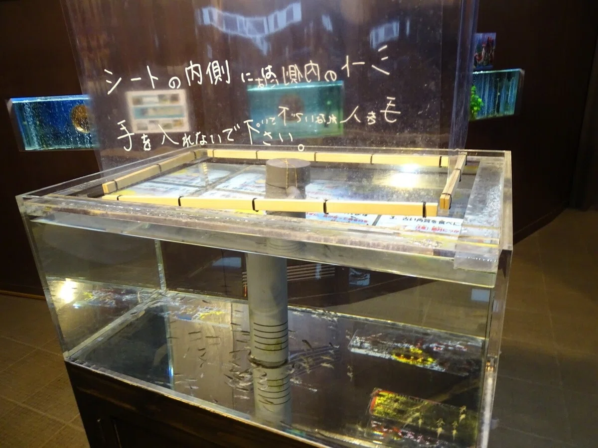 画像28