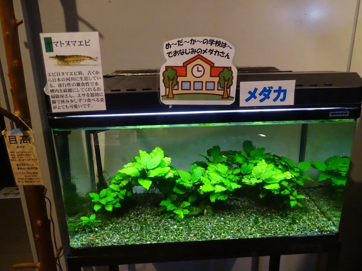 画像29