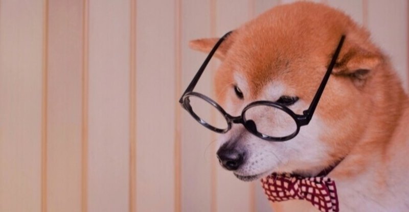 犬の視覚を知ろう 犬の飼い主サポートのplam Note