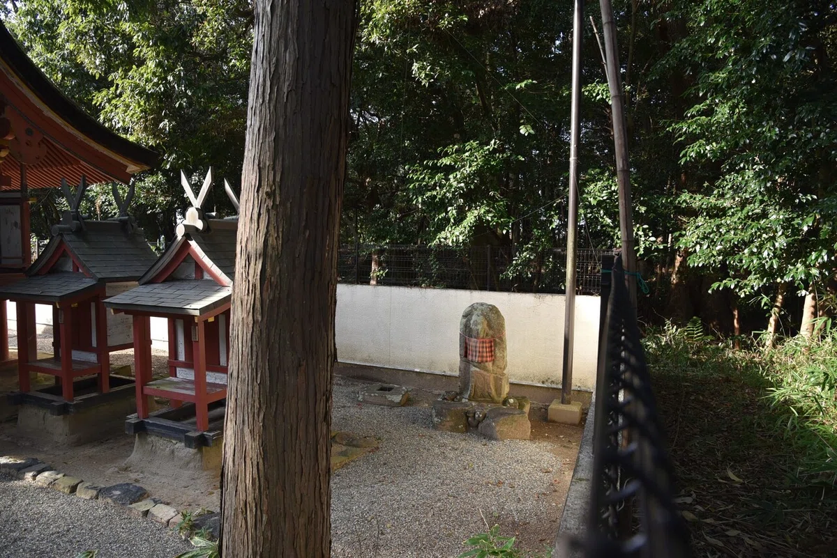 画像5