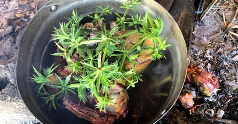 クリスマスを知らない人たちとイブに鳥料理を食べた話 Kohji 南ラオス自然農園 Note