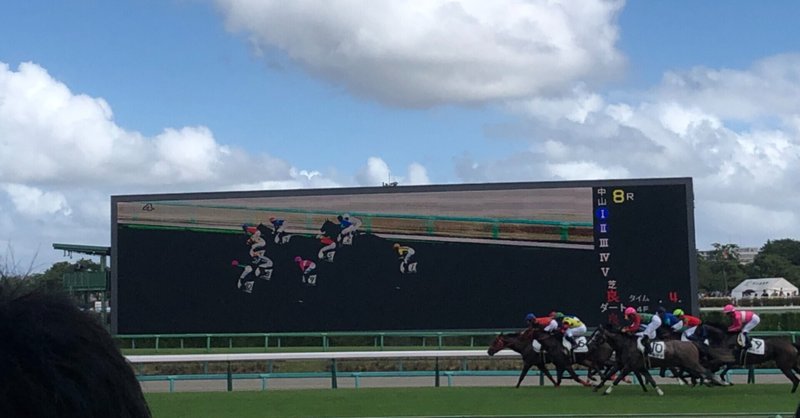 有馬記念のレース展開予想と中山競馬場の馬場状態について Dulich Note 有馬記念のレース展開予想と中山競馬場の馬場状態について Dulich Note