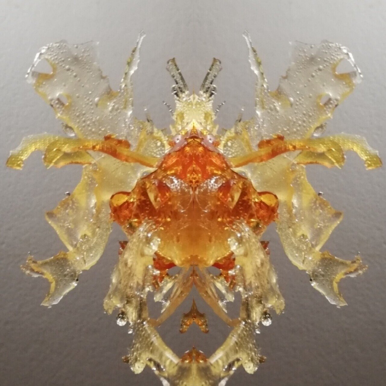 べっこう飴の虫 000 Note