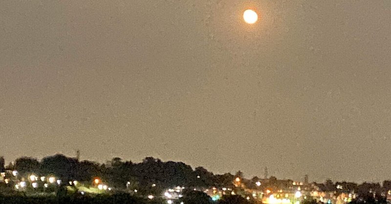 過去でも未来でもなく 今 を全力で生きる Daichi Miyamoto Note