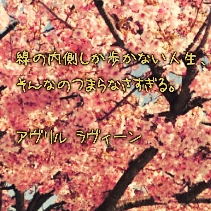 線の内側しか歩かない人生、
そんなのつまらなさすぎる。

アヴリル ラヴィーン

#ナイトビューティーセラピスト
#ビューティーフード
#ビューティフードインストラクター
#loveauty #リアルビューティー
#室谷真由美
#お料理教室
#マヤ占い
#ベジフェス
#Loveauty
#草加
#北千住
#はりまや佳子 
#Cwave
#ageha
#夜蝶
#クラブ
#キャバ嬢
#夜遊び
#パーティ
#女性名言
#千住でクロス