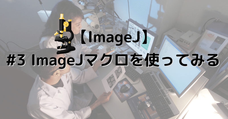 【ImageJ】ImageJマクロを使ってみる