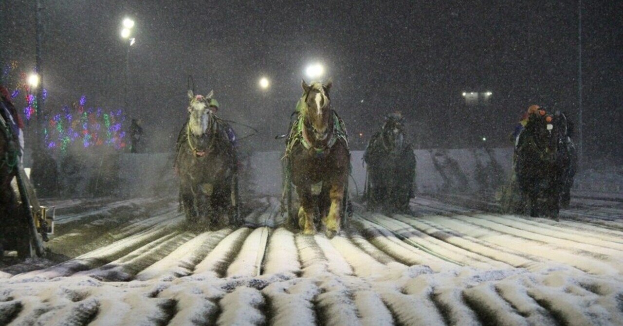 12 27 日 帯広ばんえい競馬予想 全12r 有馬記念予想もあるよ ばんマスの厳選5頭絞り 馬単 参考買い目あり 有馬記念のあとに ばんえい予想のばんマス Note