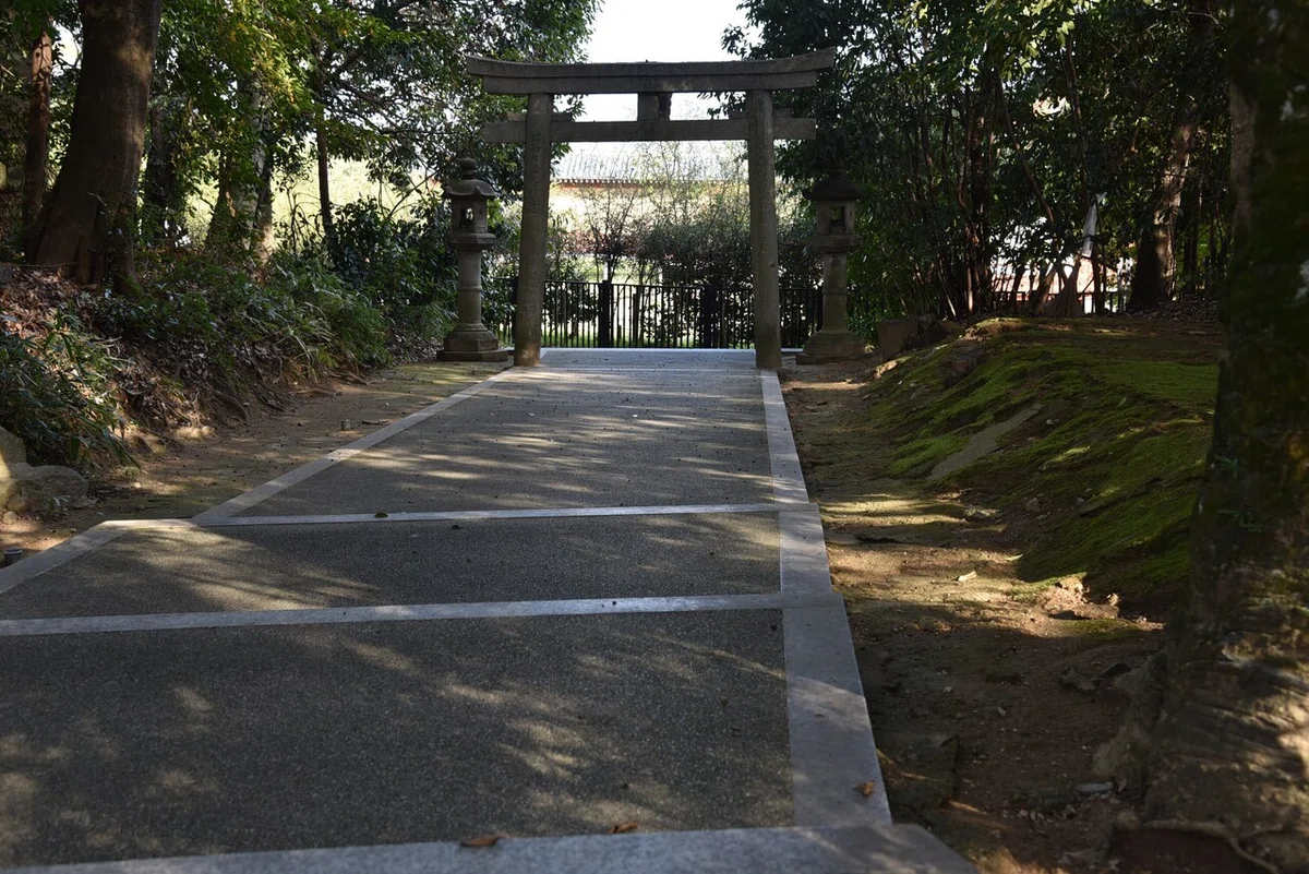 画像7