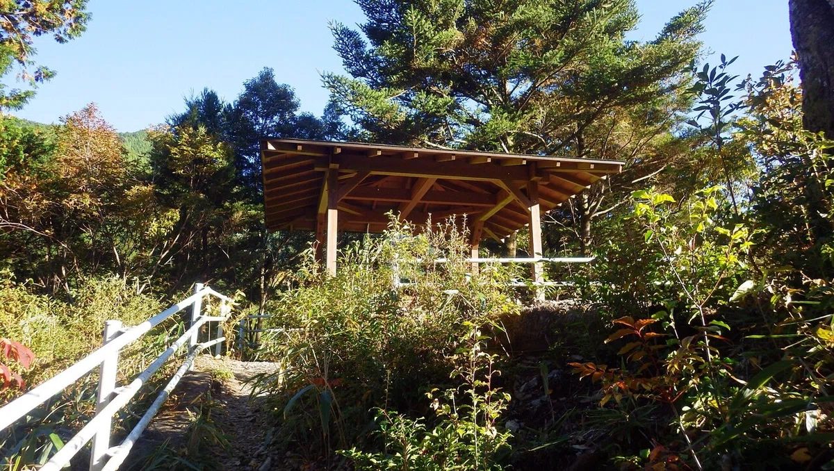 画像5