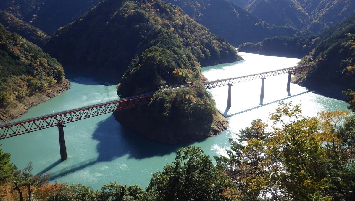 画像7