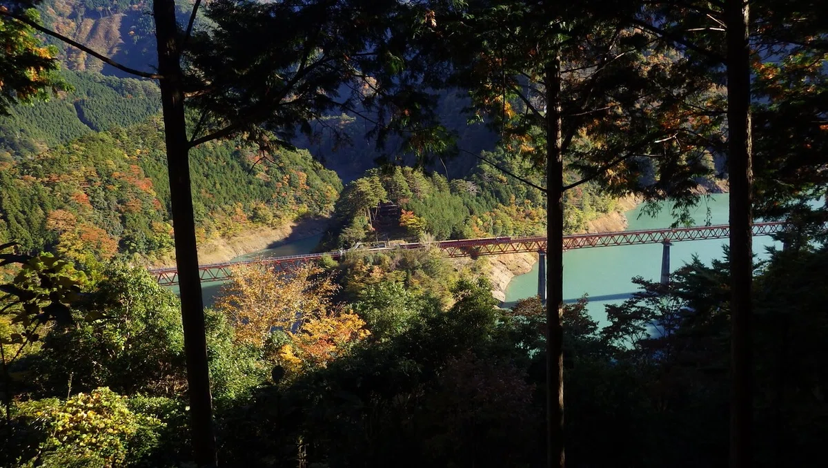 画像10