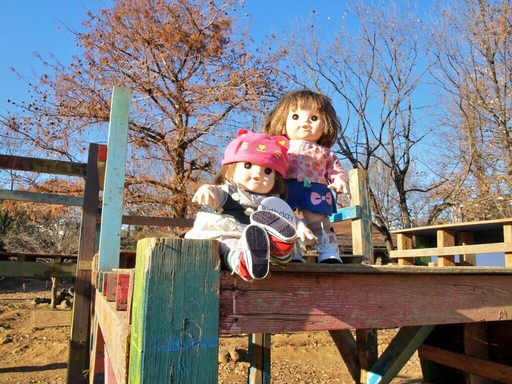 川崎市子ども夢パークでやんちゃするぽぽちゃん ここはやんちゃして活発に遊んだり 図書室で大人しく本を読んだり自由な場所 川崎市子ども夢パーク ぽぽちゃん Popodoll Note