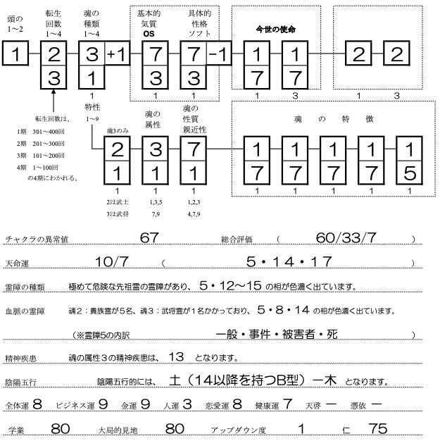 更科日菜子SS