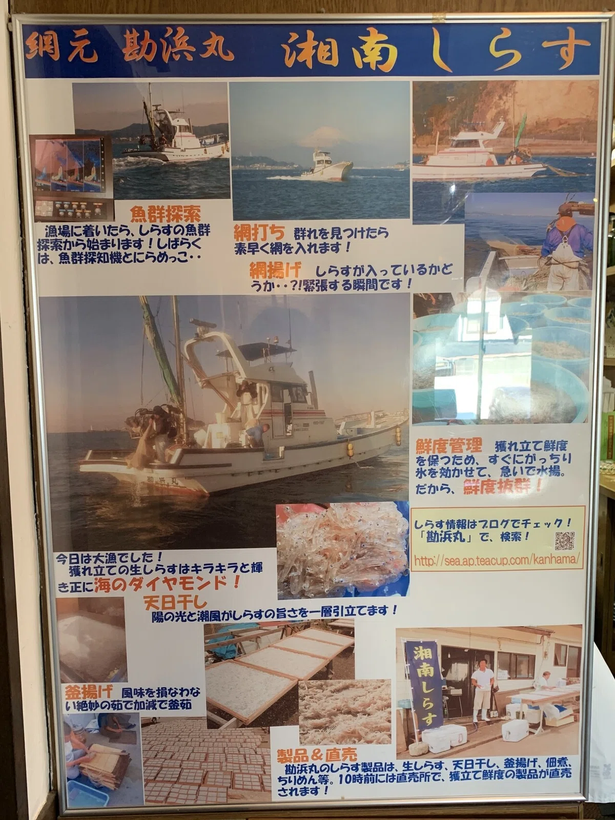 画像4