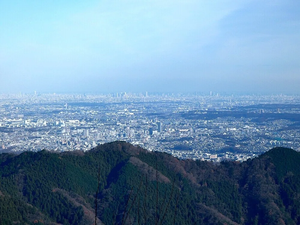 画像13
