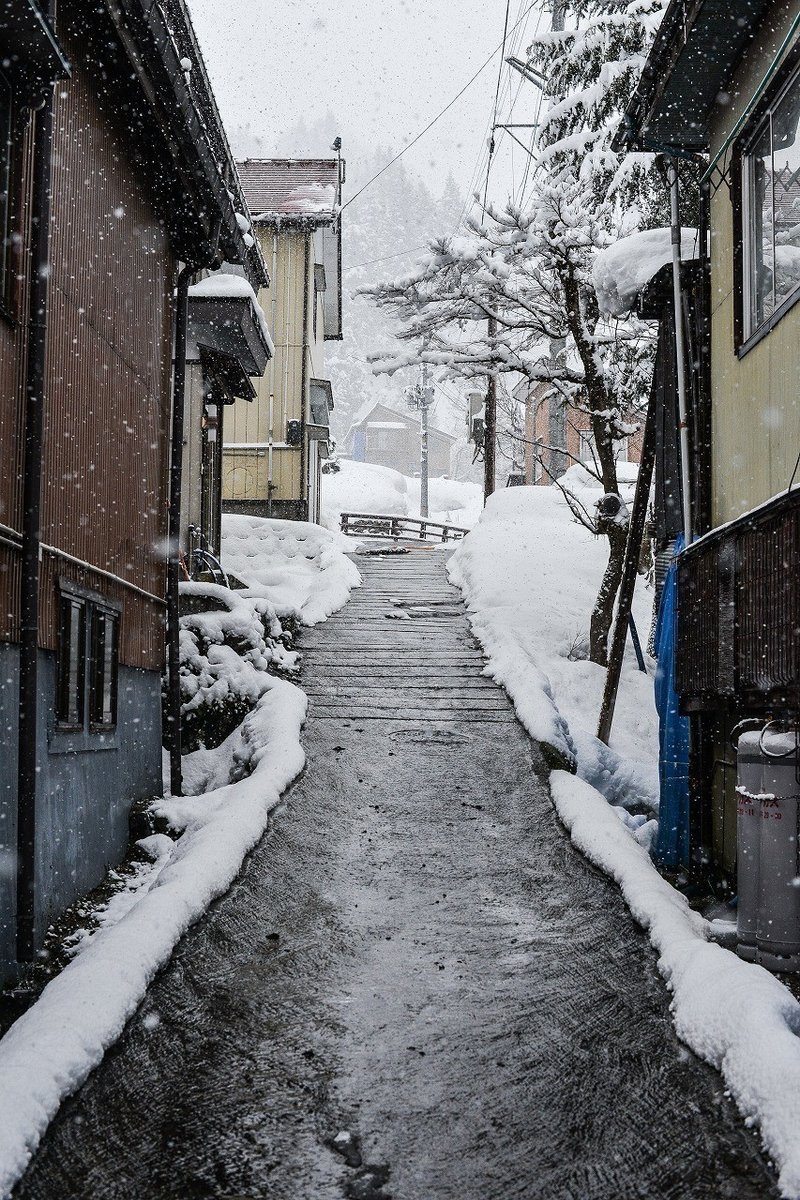 新潟 撮りあるき 雪かき 番外コメレス編 Hirocoshinada Note 新潟 撮りあるき 雪かき 番外コメレス編 Hirocoshinada Note