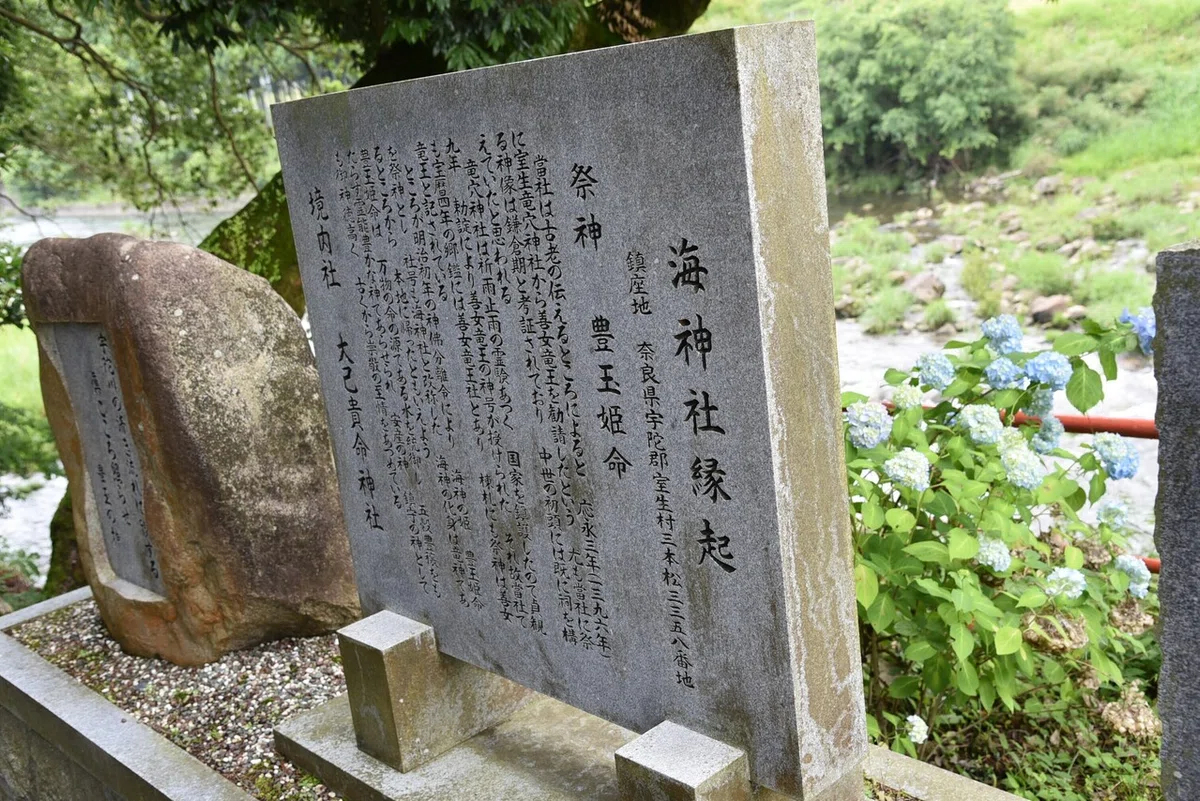画像8