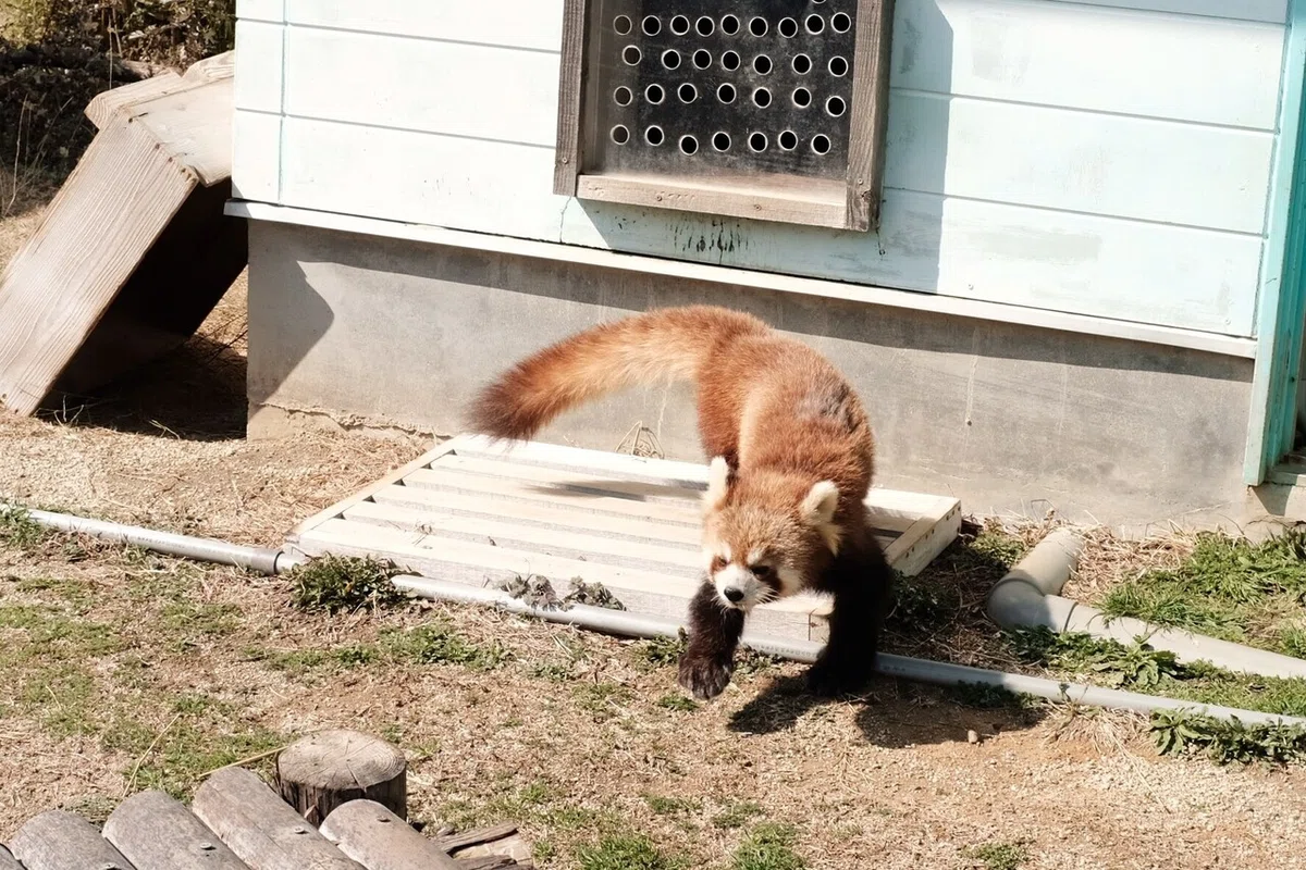 画像16
