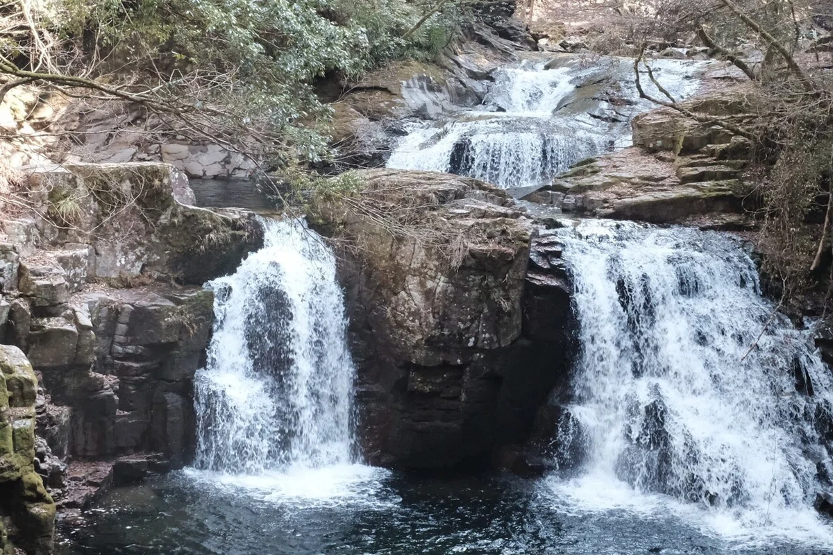 画像30