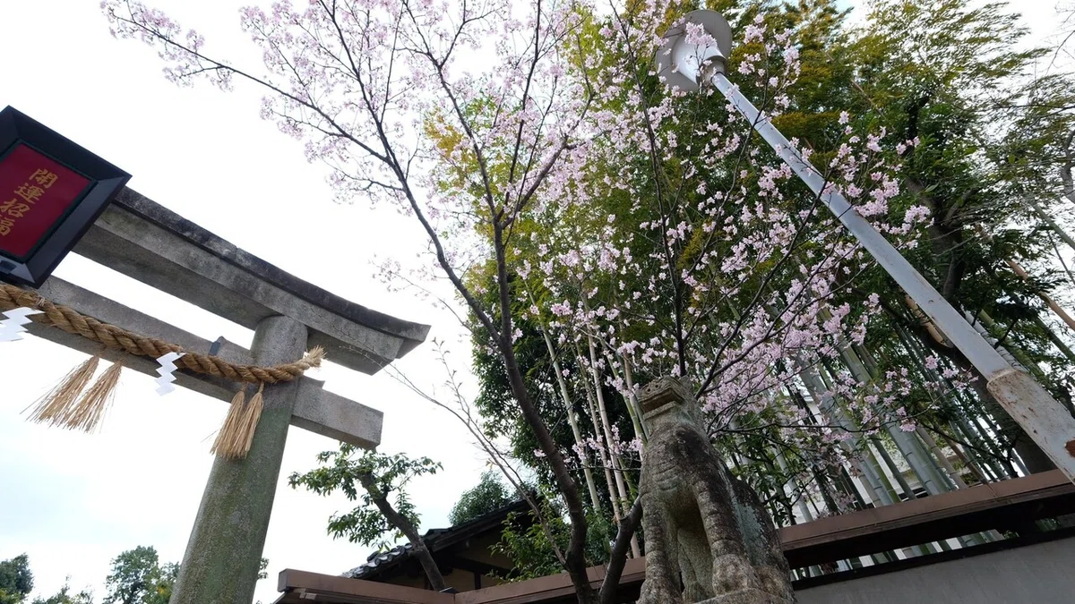 画像42