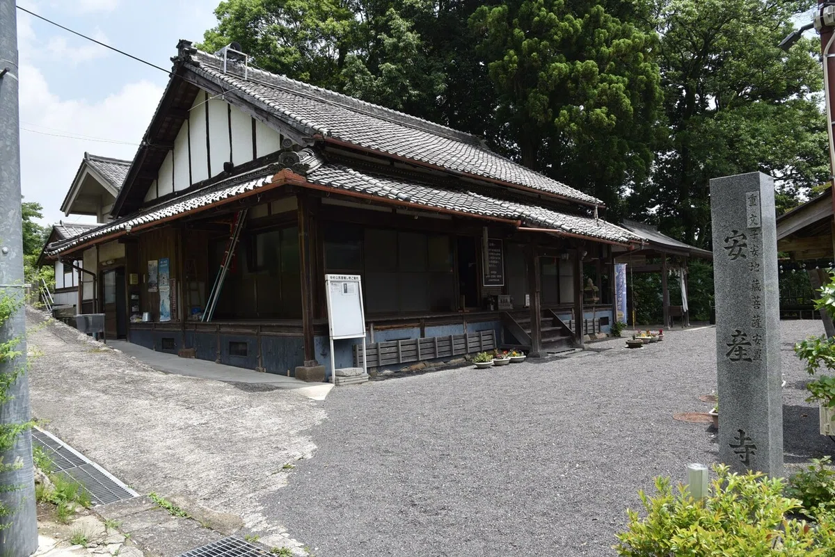 画像8
