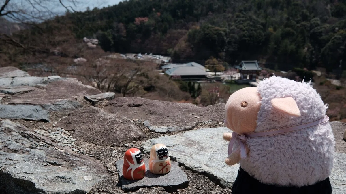 画像47